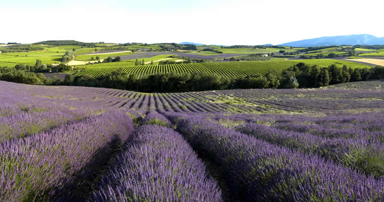 Drôme