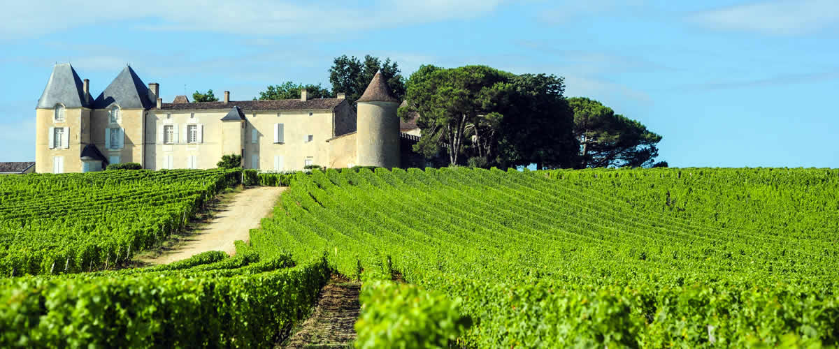 Wijnreizen in Frankrijk