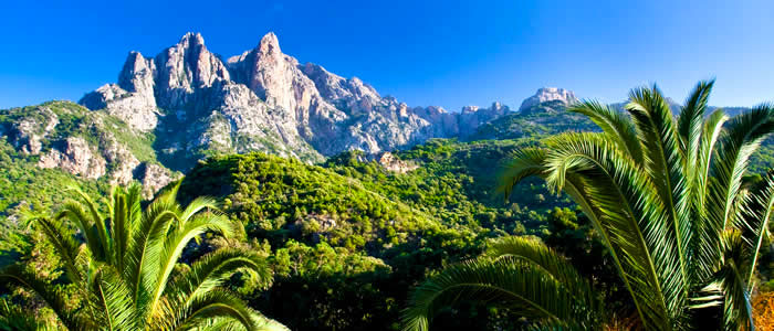 Vakantie op Corsica met TUI