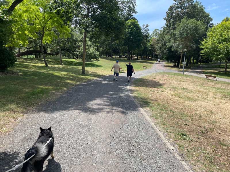 Park in La Rochelle, ook fijn voor honden!