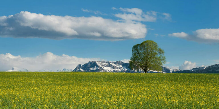 Vakantie-Franse-alpen