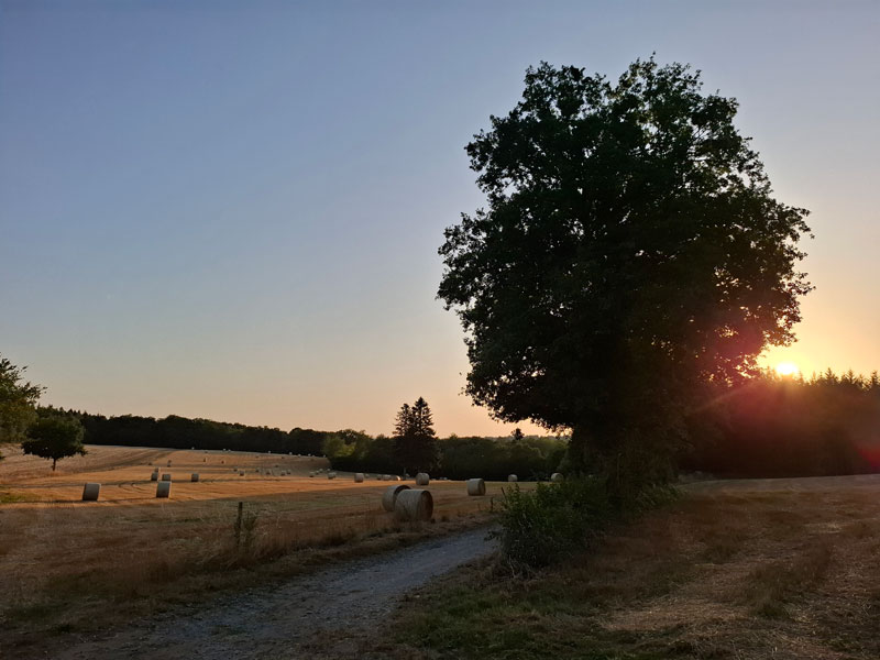 Met tieners naar Glamping Auvergne
