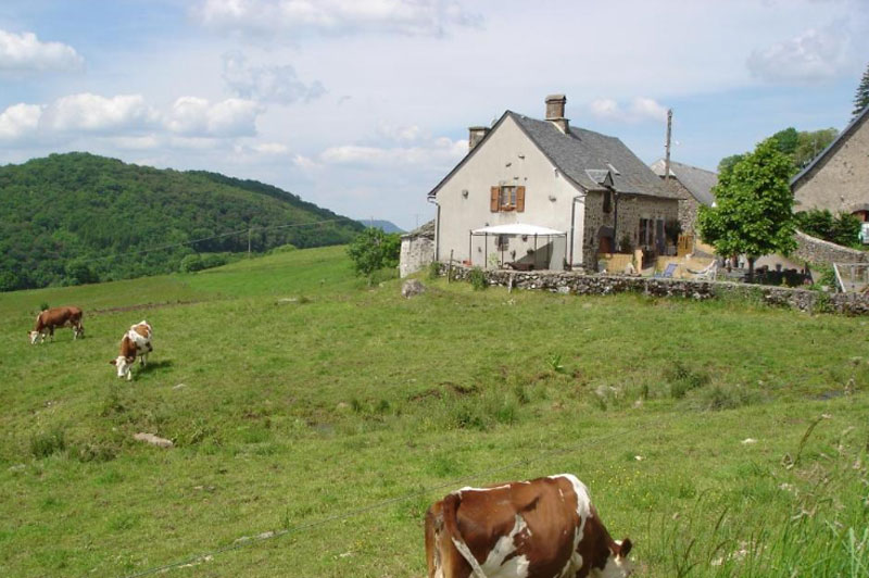 B&B Chez Marraine tussen de weilanden van Cantal
