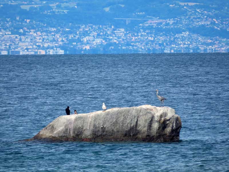Meer van Genève of Lac Léman